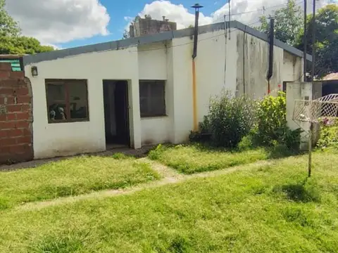 LOS AROMOS Y LOS PLATANOS 100