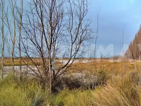 EN VENTA Hectareas Villa Manzano, Rio Negro