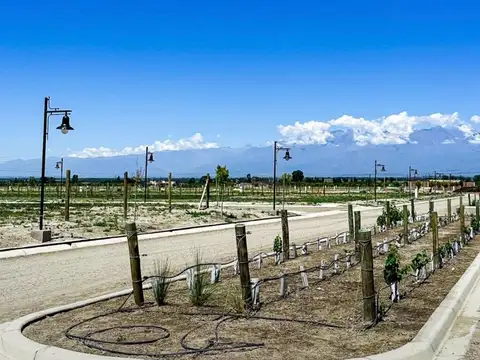 Terreno en Venta de 1305,0 m2