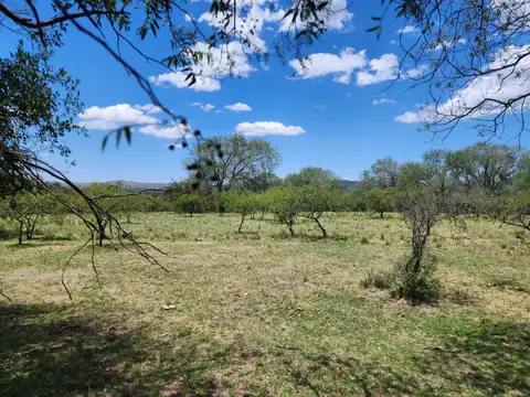 Terreno en Venta de 13870,1 m2