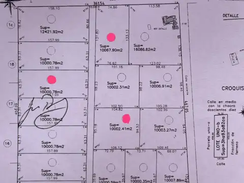 VENTA LOTES EN MERCEDES IDEAL INVERSION 1 HA