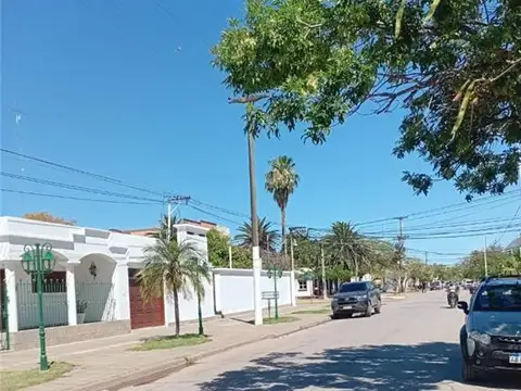 Superiora Palmira 300