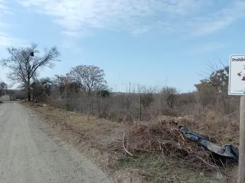 ESTRELLA ESQUINA ORION