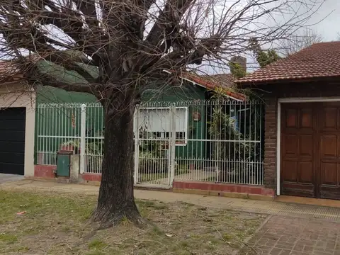 Alfredo Palacios 1600