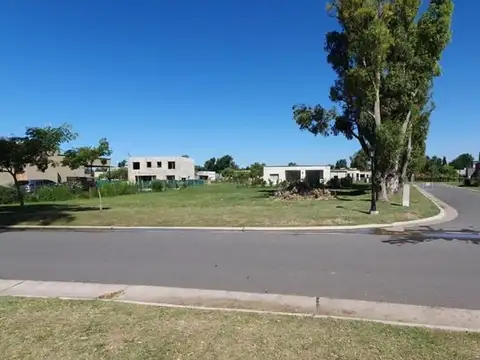 VENTA TERRENO PILAR DEL ESTE SANTA EMILIA 555 m2