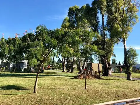 Terreno en Venta de 555,0 m2