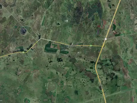 Dolores 4 ha - Sobre Autovia 2