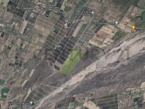 Vista Flores. Tunuyan , Piso 0