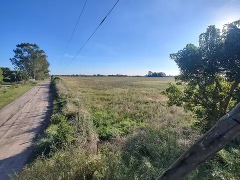 Campo en venta Bavio 4 Hectáreas