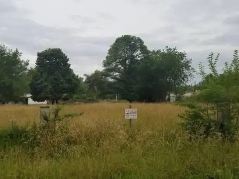 Soldado Argentino Al 100