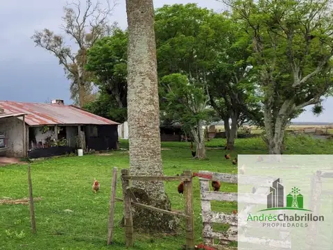 Paso De Los Libres, Corrientes