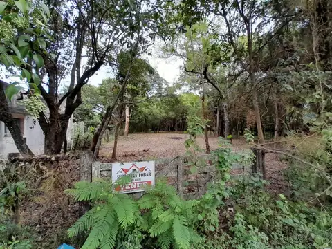 VENDO PEQUEÑO BOSQUE SOBRE EL RÍO CORRIENTE EN LA CIUDAD DE