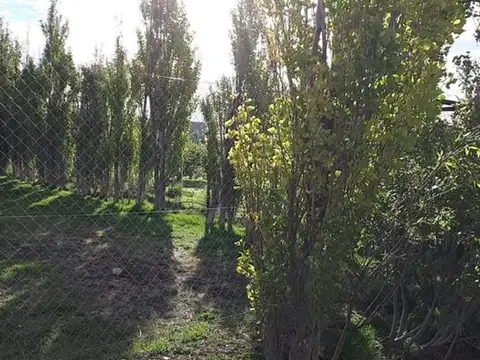 Emilio Roldán Molina 1300