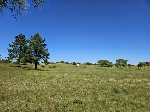 Lote en venta en Carmelo Golf al 100