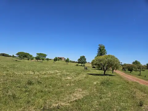 Terreno en Venta de 4000,0 m2