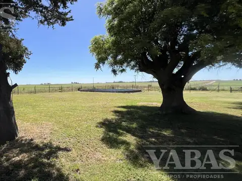 FRACCIÓN DE CAMPO EN VENTA - 1.35 HECTAREAS - ARRECIFES (BUENOS AIRES)