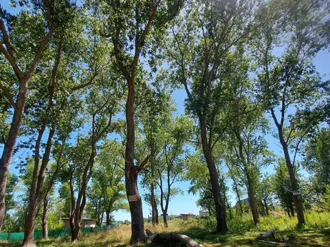 Terreno en Venta 15  mts Frente