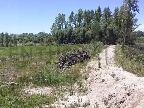 arroyo estudiantito , Piso 0