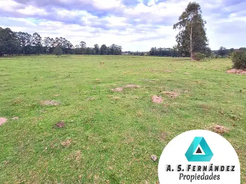 CAMPO IDEAL FORESTACIÓN, CITRÍCOLA, PECAN