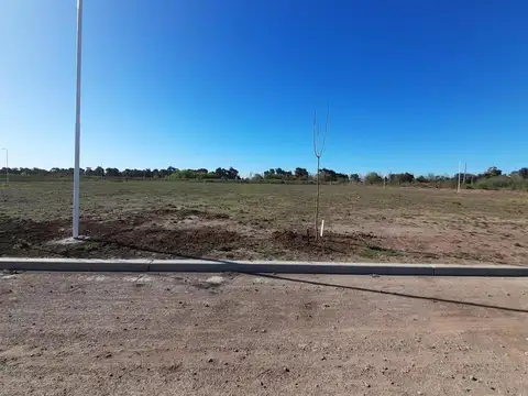 TERRENO EN SAN LORENZO VILLA ROBLES