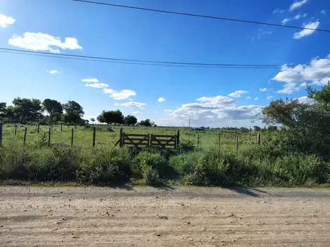 Terreno en Venta 12  mts Frente