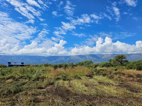 Camino del Zorro 100