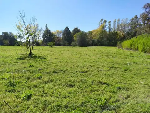 Terreno en Venta de 28900,0 m2