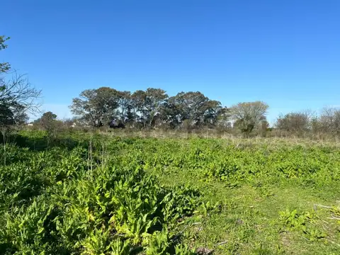 Calle 161 y 84 - (3,9 Hectareas en Venta)