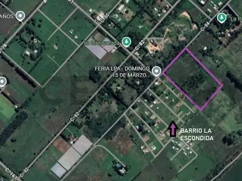 161 esq. 84 , Piso 0