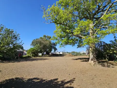 Liniers y Varela , Piso 0