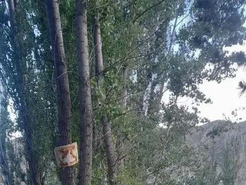 Ruta Provincial 89 - Potrerillos