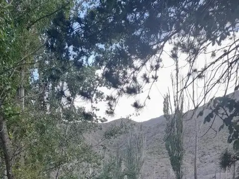 Terreno en venta - 6.500Mts2 - Mendoza