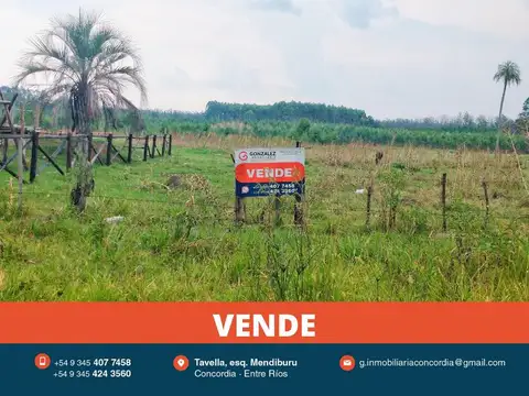 Excelente Lote en Zona en Crecimiento.