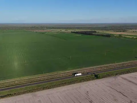 CAMPO agrícola en Las Garsitas (Santa Fe)