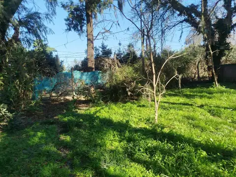 25 DE MAYO   al 3700