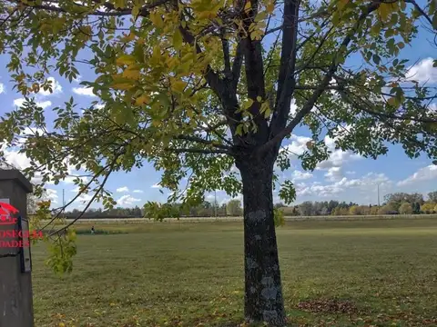 Terreno en Venta de 1200,0 m2