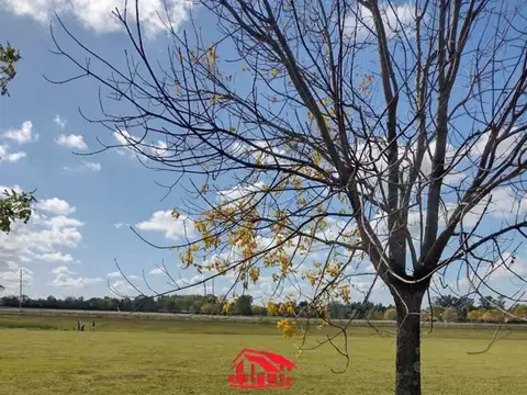 Terreno  en Venta ubicado en Los Palenques C.C ,  Manzanares