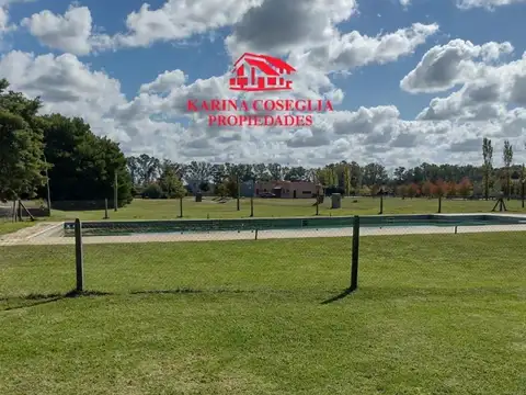 Beethoven-manzanares Sn 100