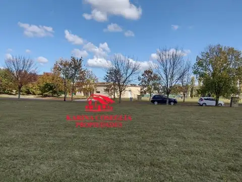 Beethoven-manzanares Sn 100