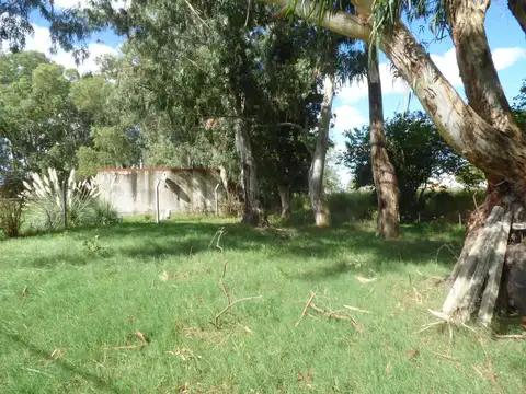 Terreno en Venta 42  mts Frente