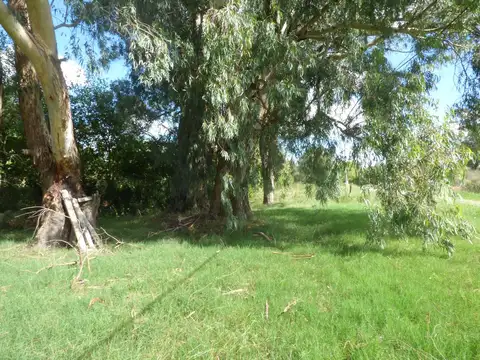 Terreno en Venta de 400,0 m2