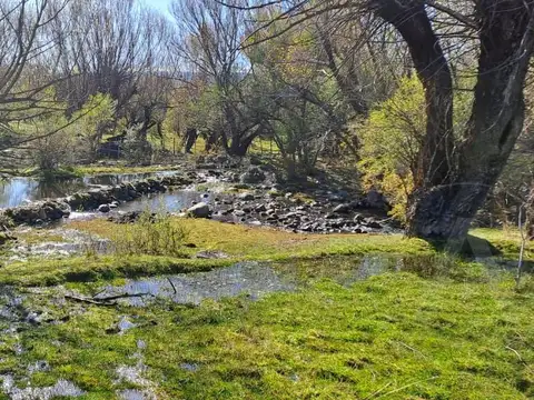 Campo en venta de 620000m2 ubicado en San Martin de los Andes