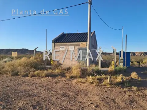 Terreno en Venta en Plottier, USD 15.500