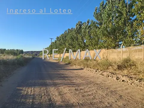 Terreno en Venta de 354,0 m2