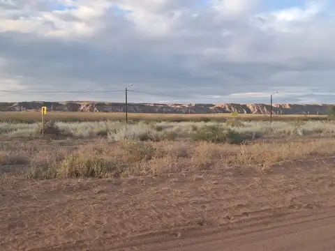 Terreno en Venta en Plottier, USD 15.500