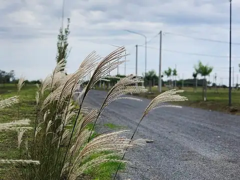 Ecovida - Villa Amelia - Ruta