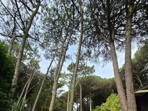 Carilo | Casa Nuetra Era - A1