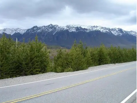 Campo en Venta de 20  ha