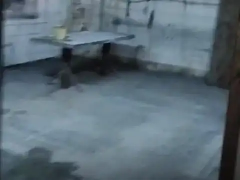 Galpon en Alquiler 40  mts Fondo