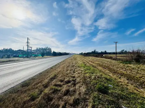 Campo venta 2,5ha (150 metros de Autopista Ros-Cor)